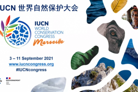 碳汇基金会参加第七届IUCN世界自然保护大会