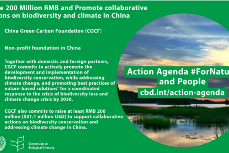 中国绿色碳汇基金会作为观察员组织参加《生物多样性公约》第十五次缔约方大会