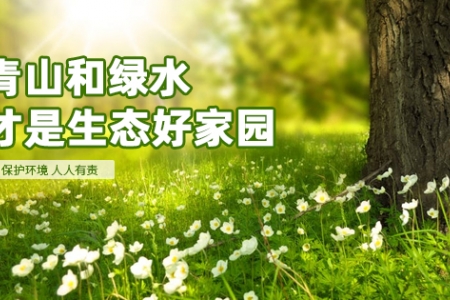 浙江湖州：“碳”路先锋13项举措全国首创