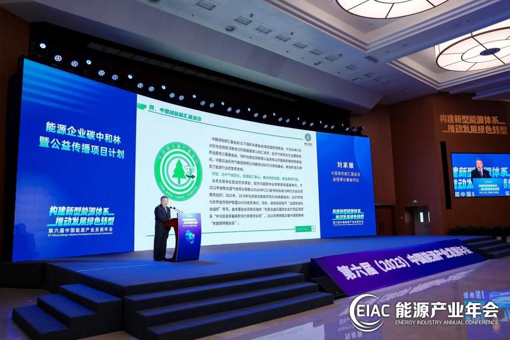 杨超理事长出席第六届中国能源产业发展年会 (图2)