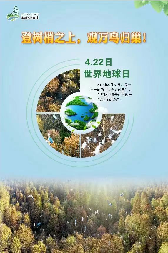 碳汇中国行 | 小小卫士走进金湖水上森林(图1)